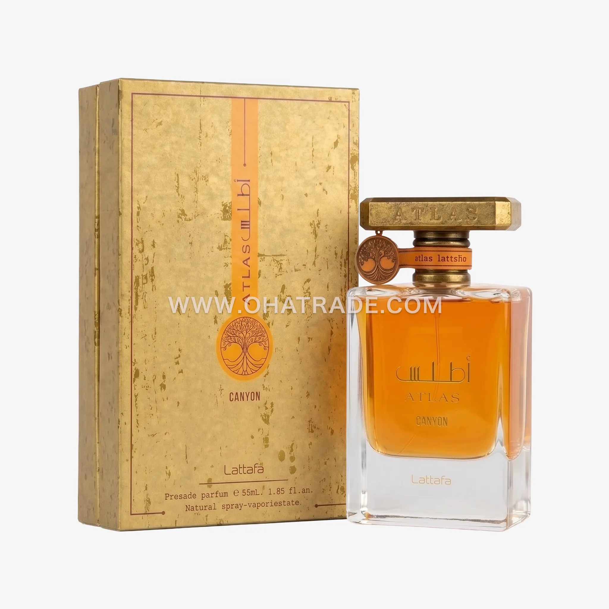 Atlas Canyon EDP 55ml